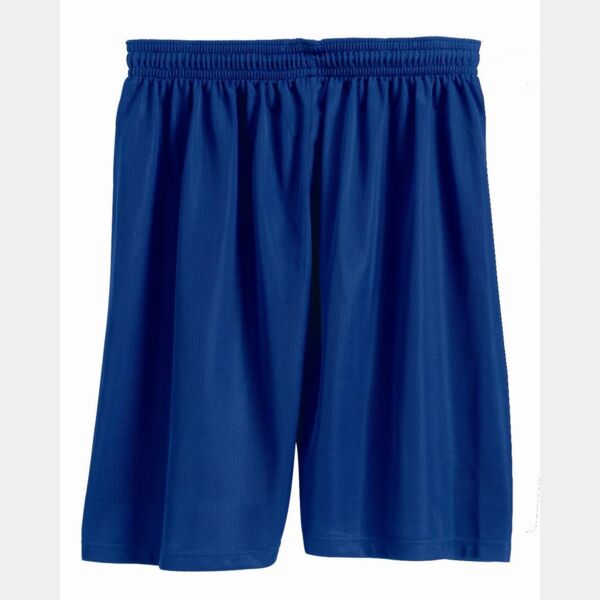 Men's Mini Mesh 7'' Inseam Shorts Thumbnail